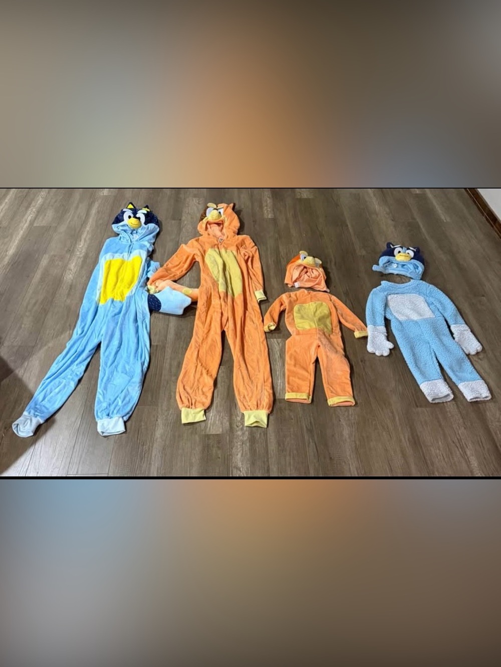 Bluey Family Halloween Costume